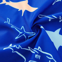 Baby Boy Full Zip Swimsuit UPF 50+ Rash Guard for Beach | Navy Shark